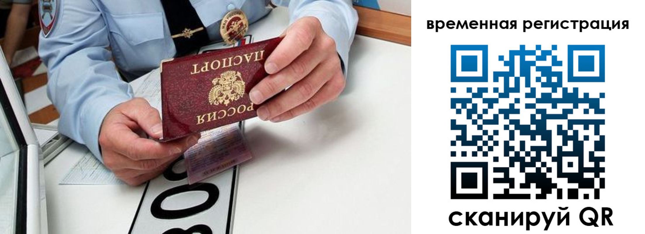 прописка гарантия в Заполярном
